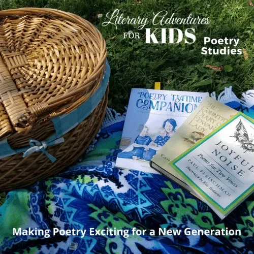 Poetry Studies Category (1)